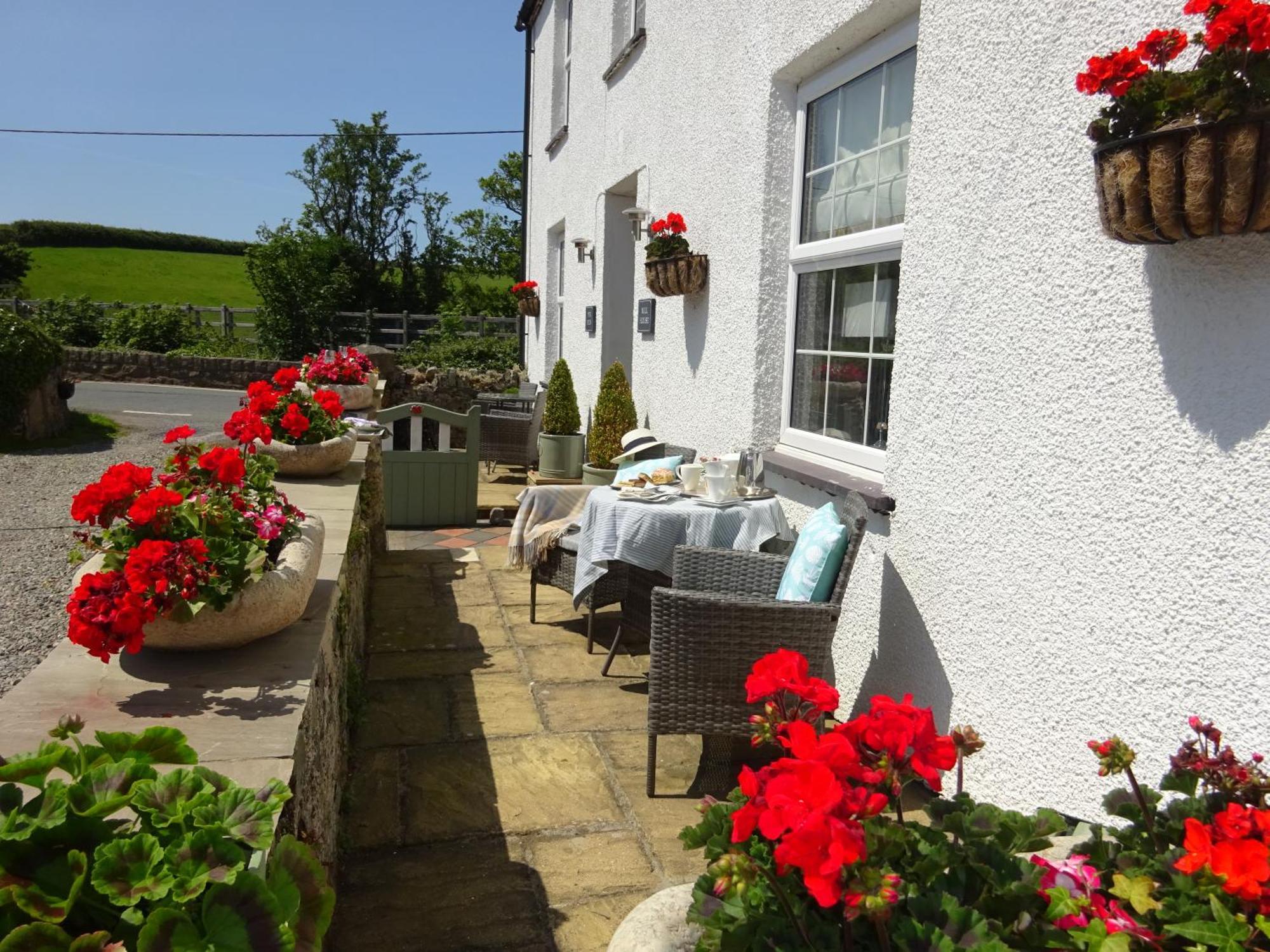 Yr Hen Felin - The Old Mill B&B Morfa Nefyn Buitenkant foto