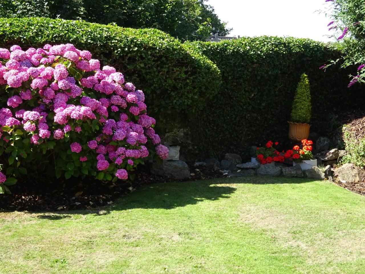 Yr Hen Felin - The Old Mill B&B Morfa Nefyn Buitenkant foto